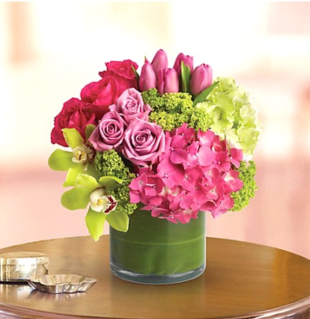 New Sensations Spring Flowers Design